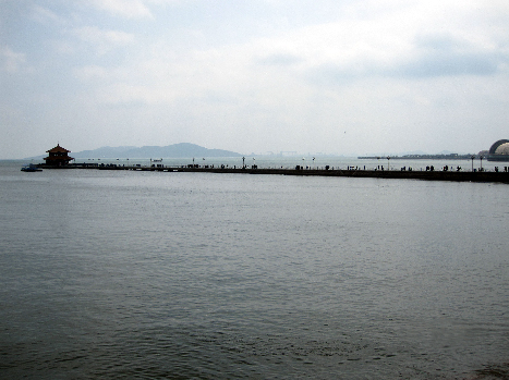 aoshima1.jpg