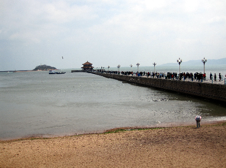 aoshima2.jpg