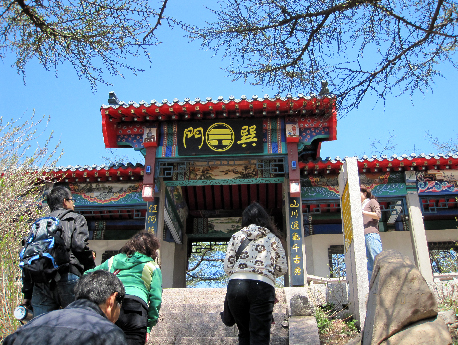 aoshima27.jpg