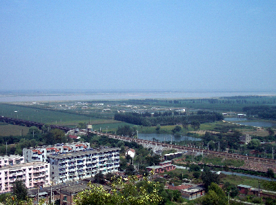 teisyu16.jpg